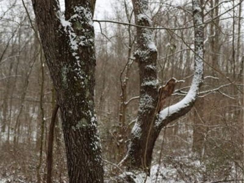 County Road 402, Warsaw, OH 43844 Photo 5