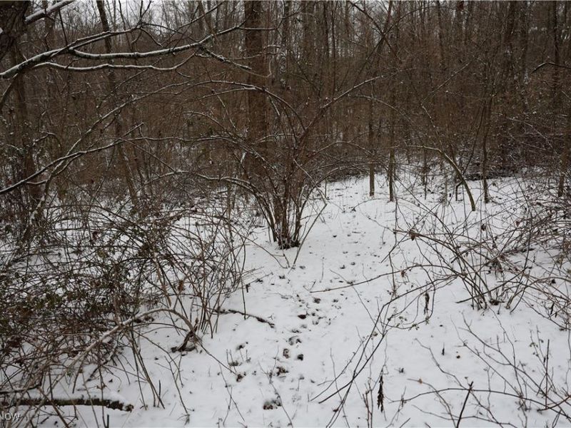 County Road 402, Warsaw, OH 43844 Photo 6