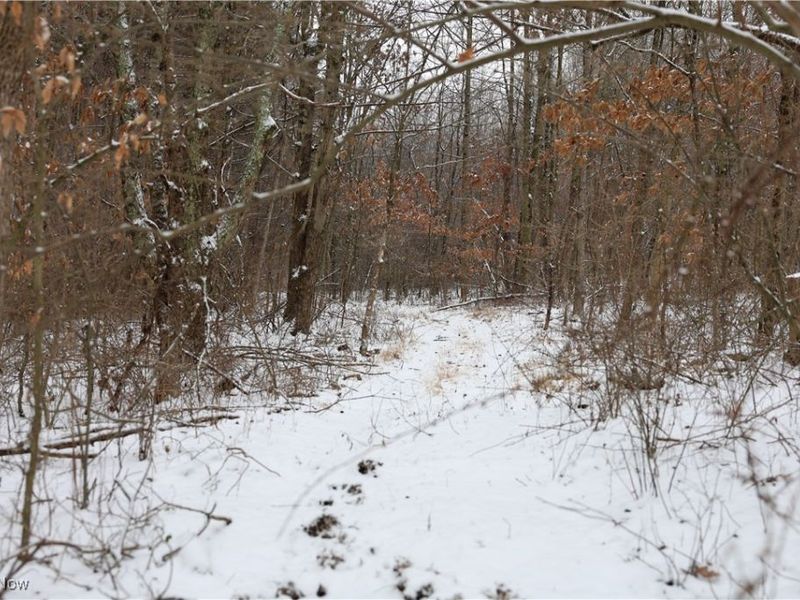 County Road 402, Warsaw, OH 43844 Photo 7