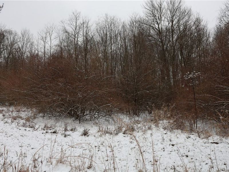 County Road 402, Warsaw, OH 43844 Photo 8