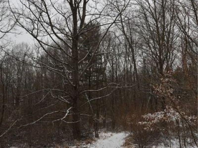 County Road 402, Warsaw, OH 43844 Photo 9