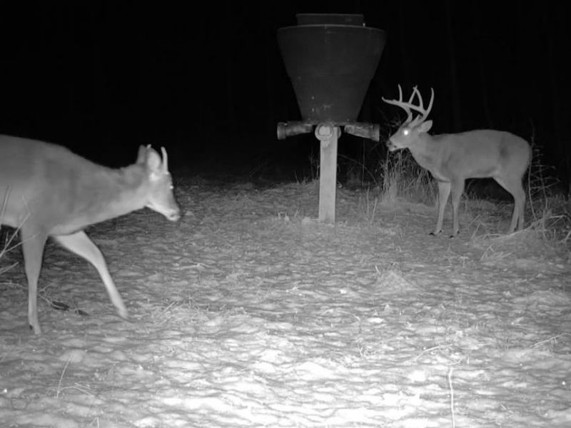 County Road 9, New Matamoras, OH 45767 Photo 11