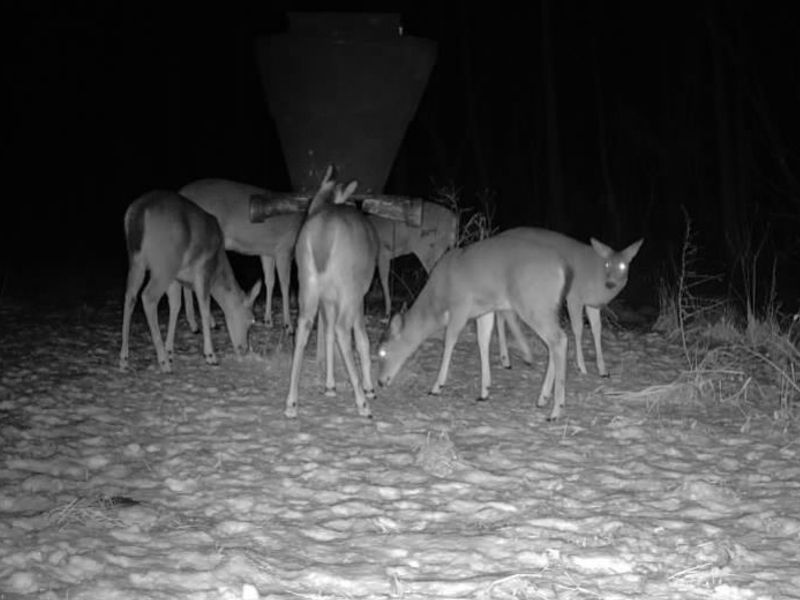 County Road 9, New Matamoras, OH 45767 Photo 12