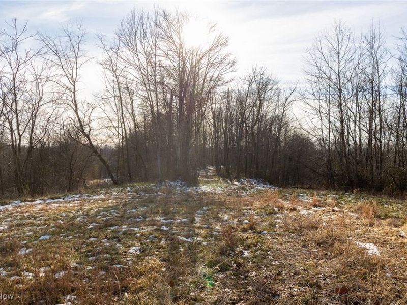 County Road 9, New Matamoras, OH 45767 Photo 14