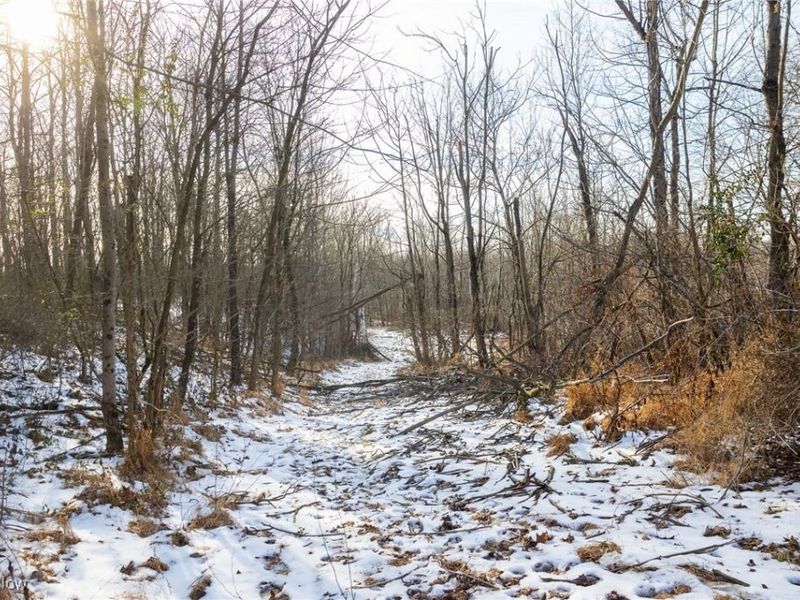 County Road 9, New Matamoras, OH 45767 Photo 15