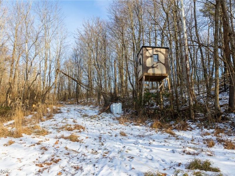 County Road 9, New Matamoras, OH 45767 Photo 16