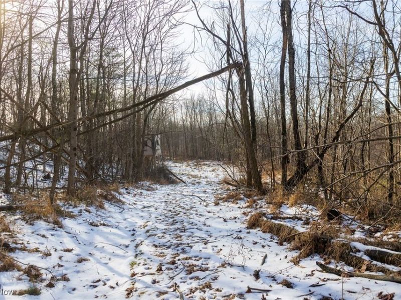 County Road 9, New Matamoras, OH 45767 Photo 17