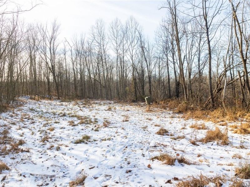 County Road 9, New Matamoras, OH 45767 Photo 18