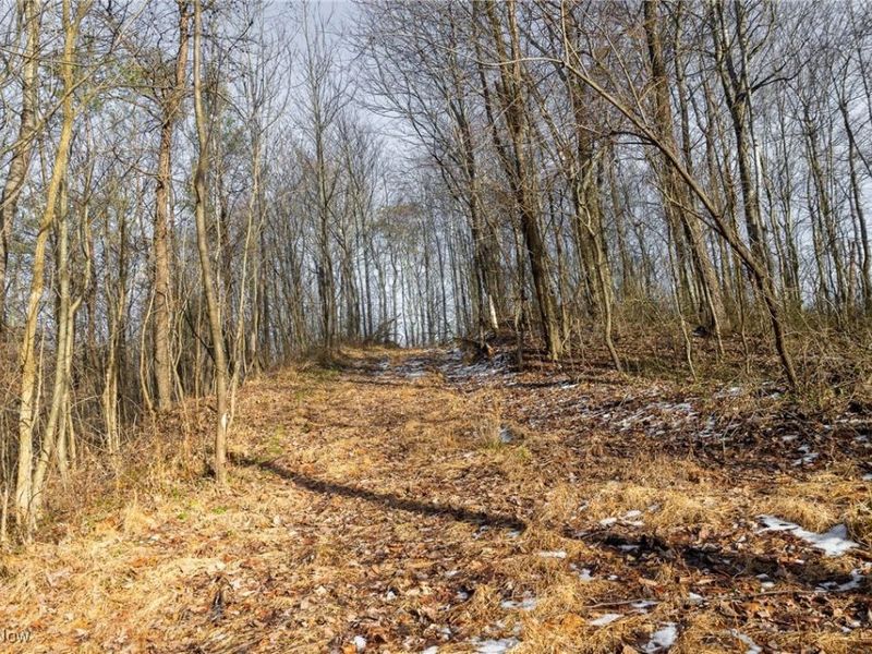 County Road 9, New Matamoras, OH 45767 Photo 19