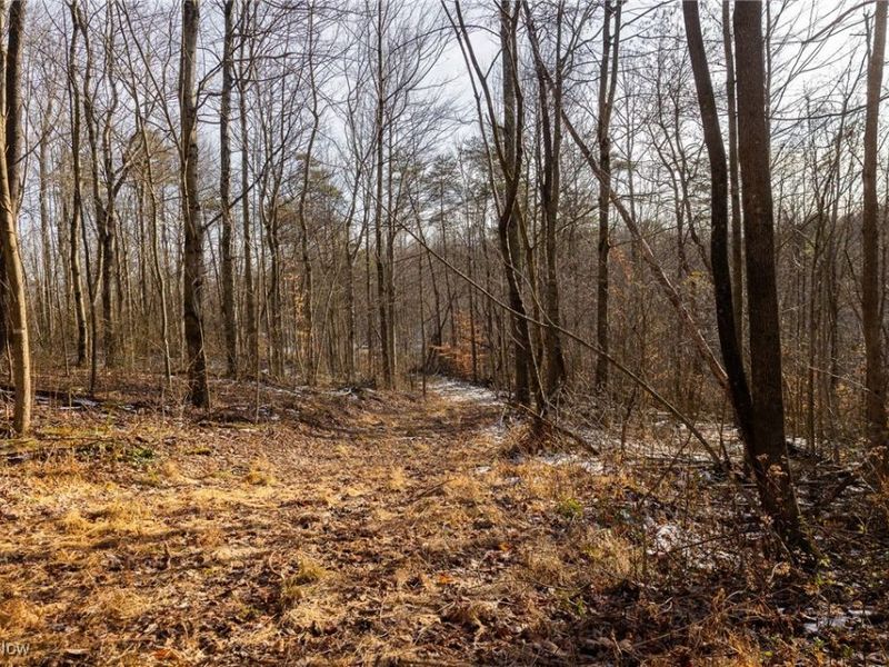 County Road 9, New Matamoras, OH 45767 Photo 20