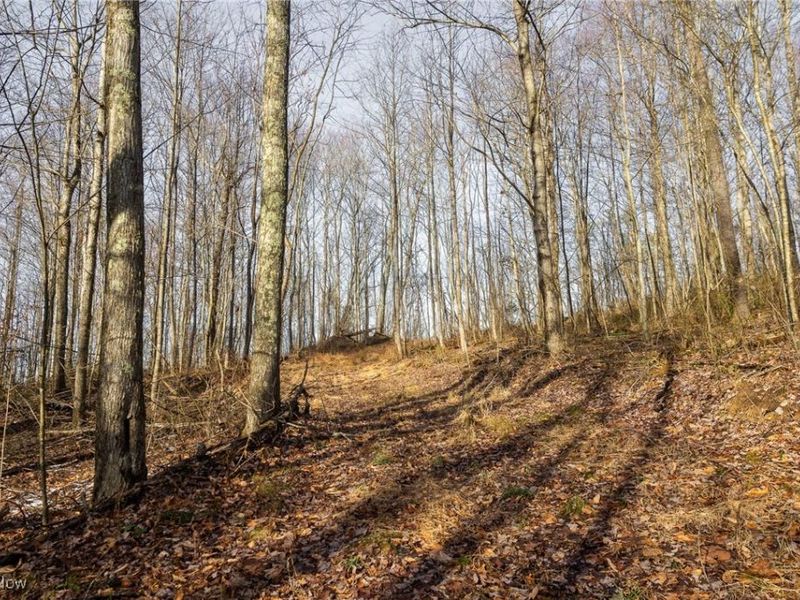 County Road 9, New Matamoras, OH 45767 Photo 21