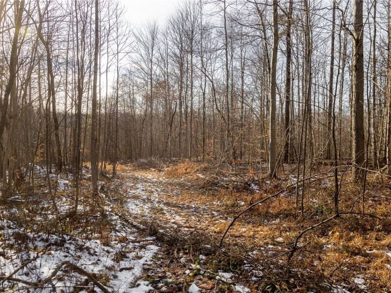 County Road 9, New Matamoras, OH 45767 Photo 22