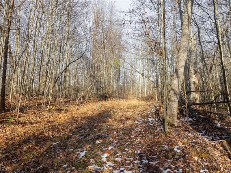 County Road 9, New Matamoras, OH 45767 Photo 24