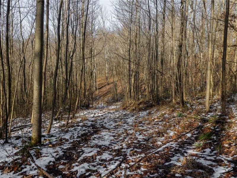 County Road 9, New Matamoras, OH 45767 Photo 25