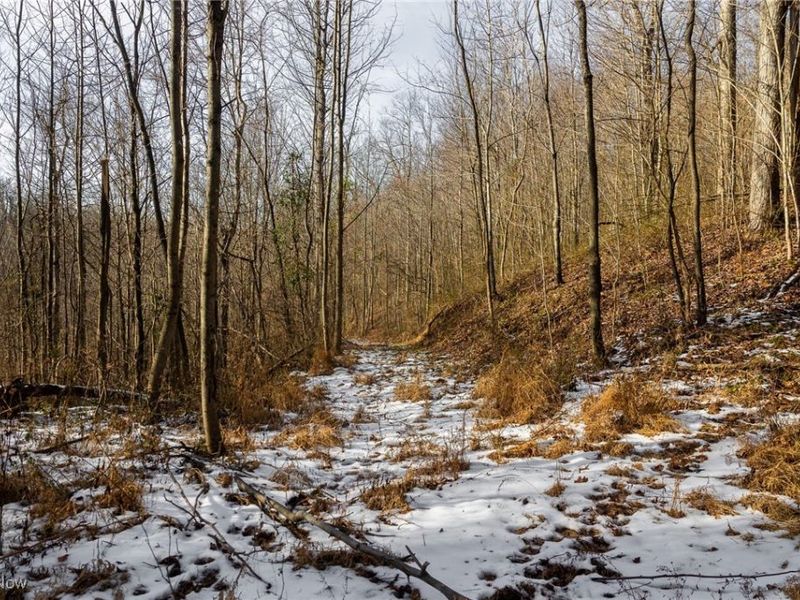 County Road 9, New Matamoras, OH 45767 Photo 26