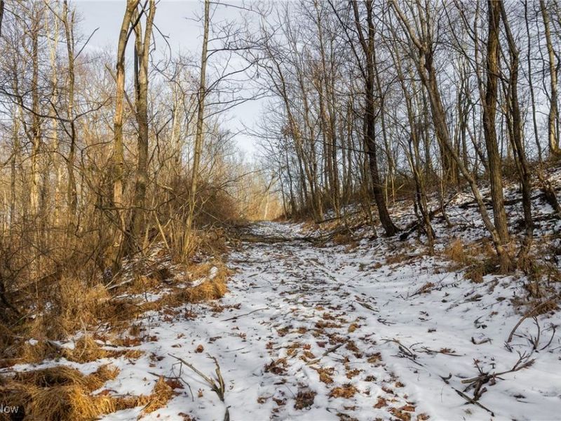 County Road 9, New Matamoras, OH 45767 Photo 27