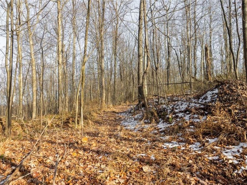 County Road 9, New Matamoras, OH 45767 Photo 28