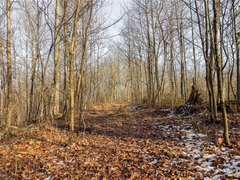 County Road 9, New Matamoras, OH 45767 Photo 30