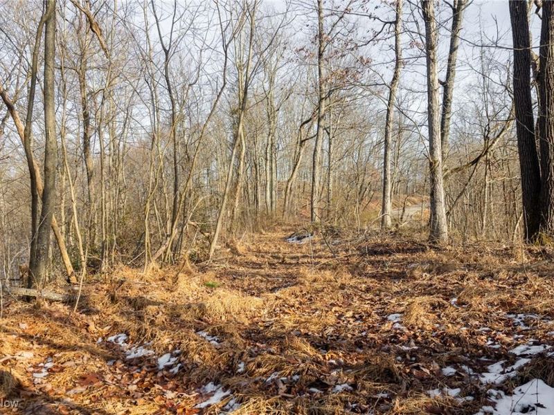 County Road 9, New Matamoras, OH 45767 Photo 31