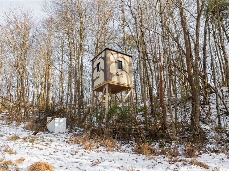 County Road 9, New Matamoras, OH 45767 Photo 4