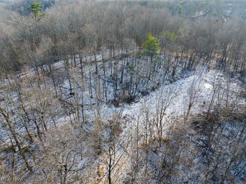 County Road 9, New Matamoras, OH 45767 Photo 40