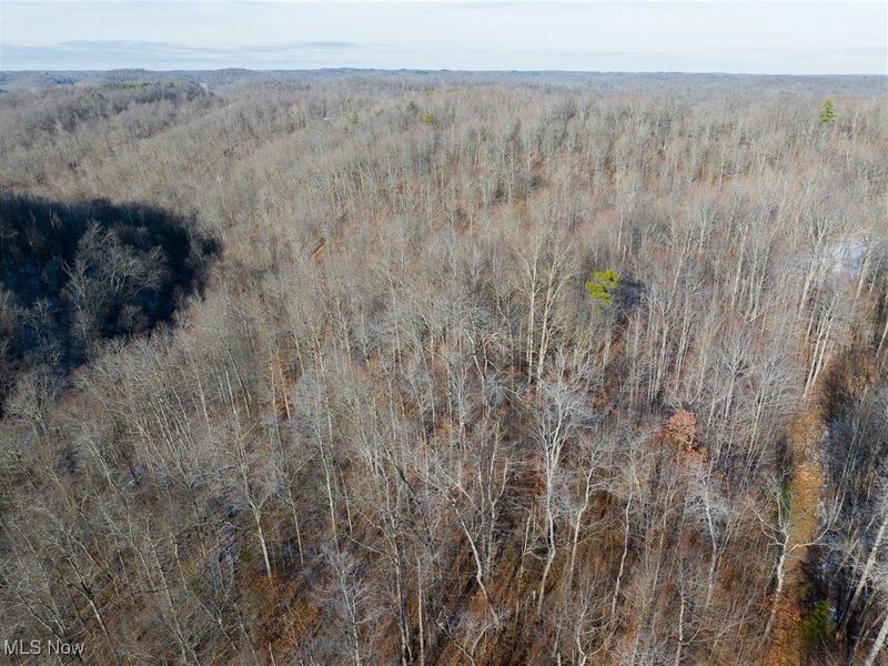 County Road 9, New Matamoras, OH 45767 Photo 43