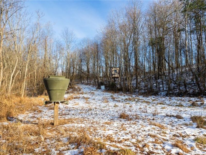 County Road 9, New Matamoras, OH 45767 Photo 5