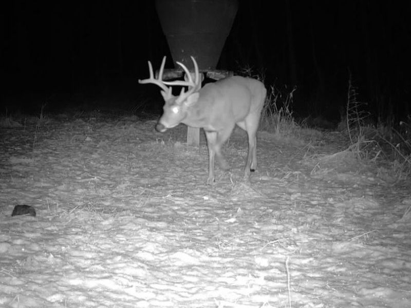 County Road 9, New Matamoras, OH 45767 Photo 7