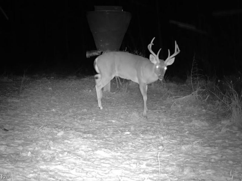 County Road 9, New Matamoras, OH 45767 Photo 8