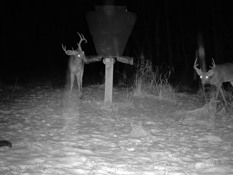 County Road 9, New Matamoras, OH 45767 Photo 9