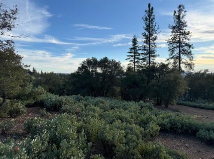 13787 Manion Canyon Rd, Grass Valley, CA 95945 Photo