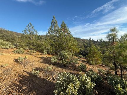 13787 Manion Canyon Rd, Grass Valley, CA 95945 Photo