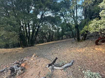 13787 Manion Canyon Rd, Grass Valley, CA 95945 Photo