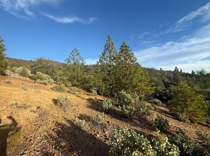 13787 Manion Canyon Rd, Grass Valley, CA 95945 Photo