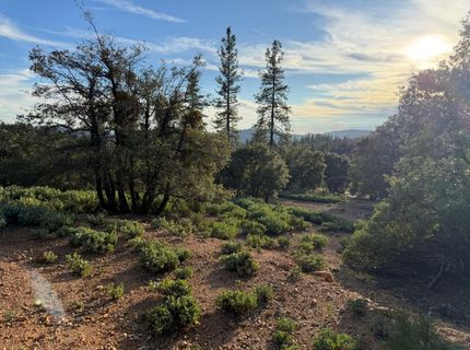 13787 Manion Canyon Rd, Grass Valley, CA 95945 Photo