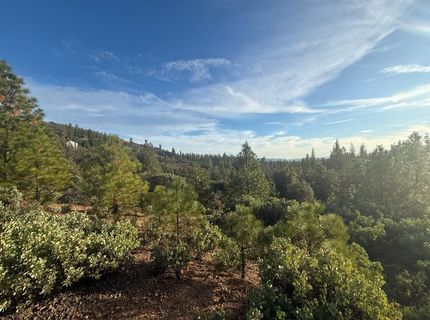 13787 Manion Canyon Rd, Grass Valley, CA 95945 Photo