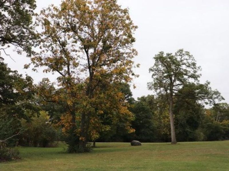 7521 Brush Lake Road, North Lewisburg, OH 43060 Photo 59