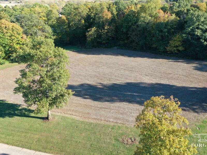 7521 Brush Lake Road, North Lewisburg, OH 43060 Photo 74