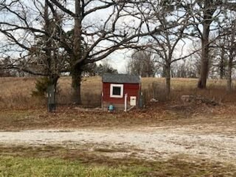 Property Image 43