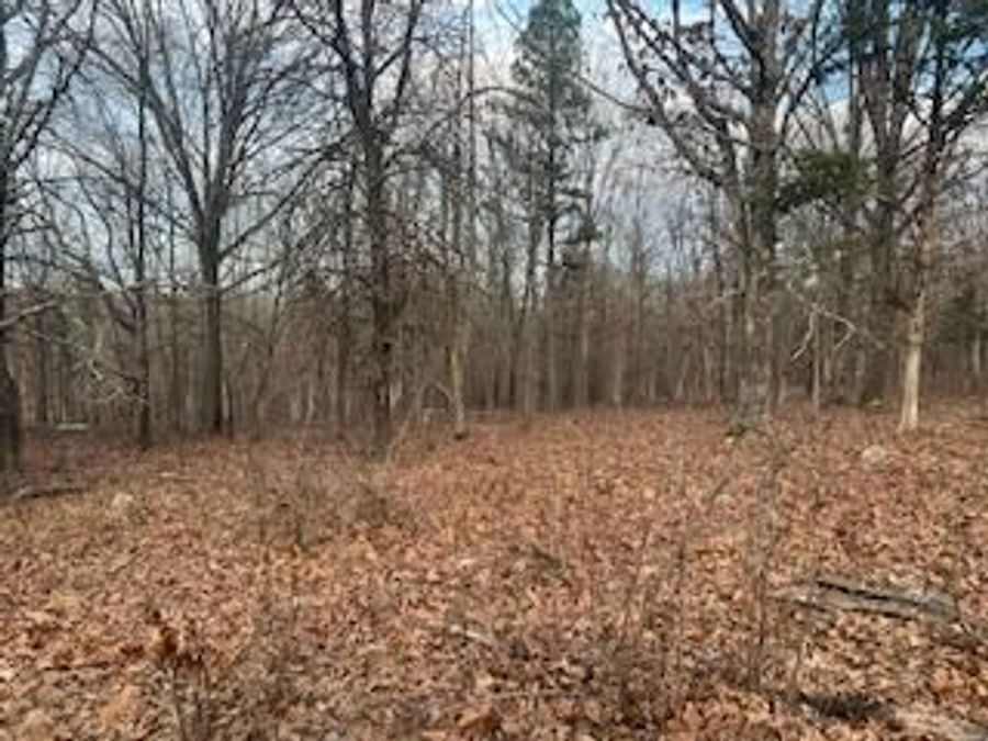 Property Image 66