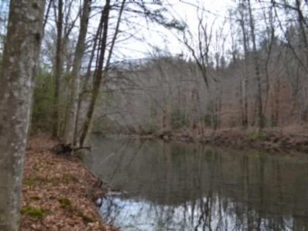 Lot 151 Steel Tram Ridge, Crawford, TN 38554