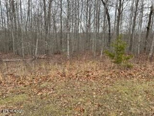 50245 ,50194, 50148 Buckeye Lane, Crawford, TN 38554