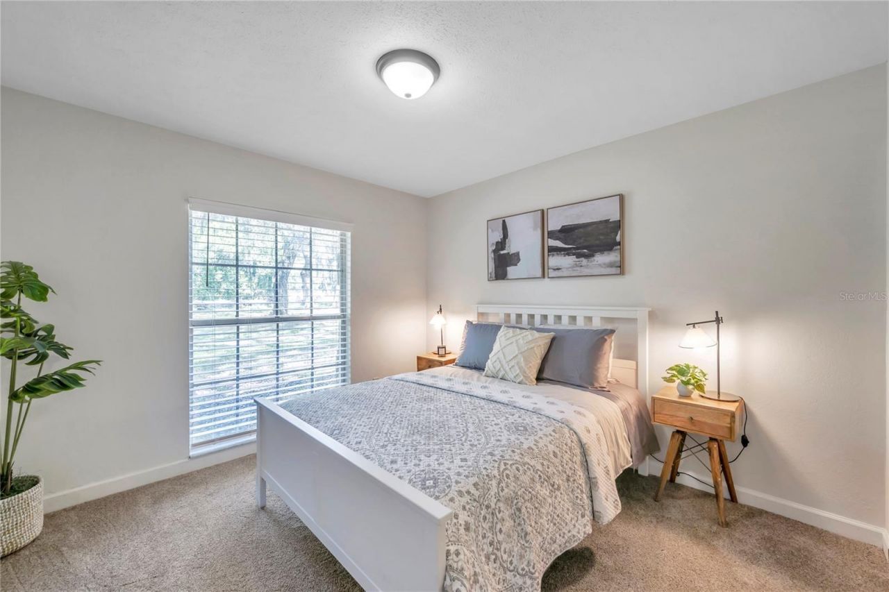 7405 Williams Road, Seffner, FL 33584 Photo