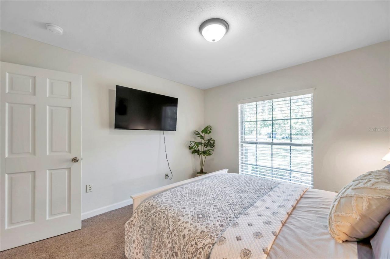 7405 Williams Road, Seffner, FL 33584 Photo