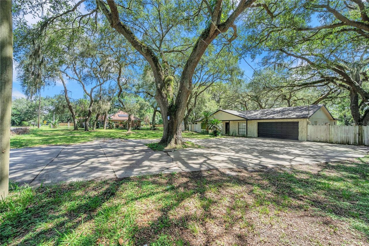 7405 Williams Road, Seffner, FL 33584 Photo