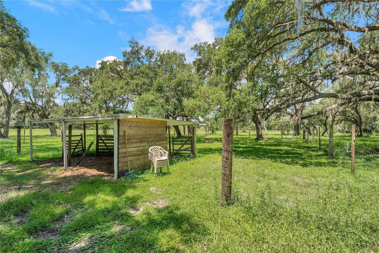 7405 Williams Road, Seffner, FL 33584 Photo