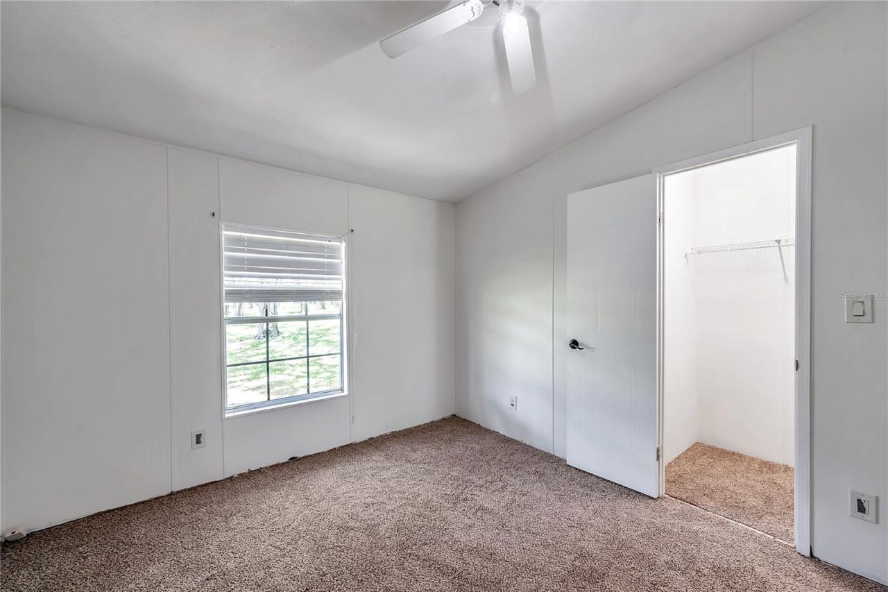 7405 Williams Road, Seffner, FL 33584 Photo