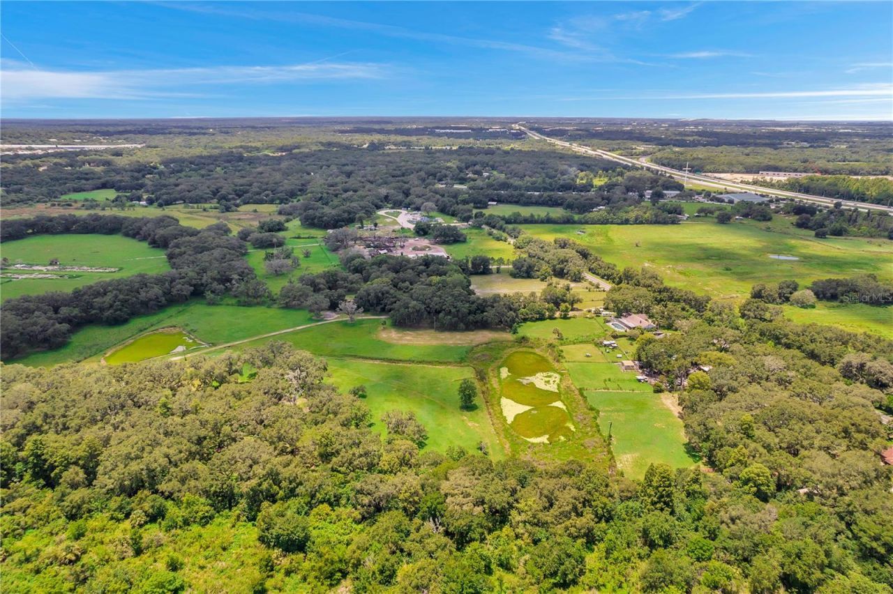 7405 Williams Road, Seffner, FL 33584 Photo