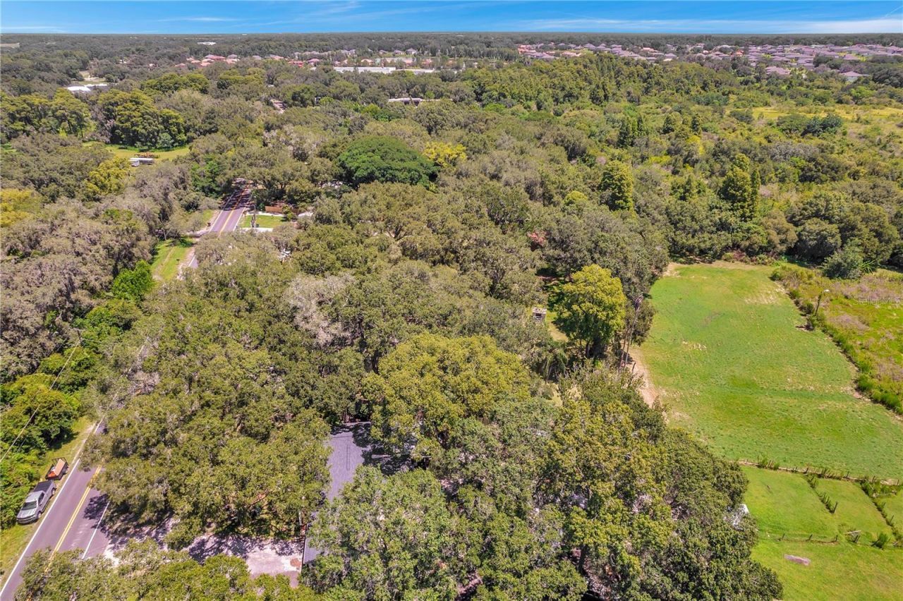 7405 Williams Road, Seffner, FL 33584 Photo