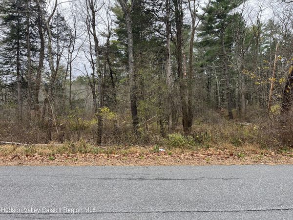 0 All Peat Beds Road, Coxsackie, NY 12051